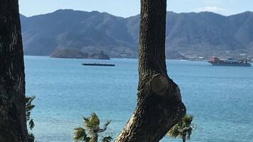 Vue depuis l’hébergement