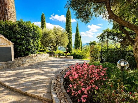 Property grounds. Casa del Glicine, immense in its unique nature
