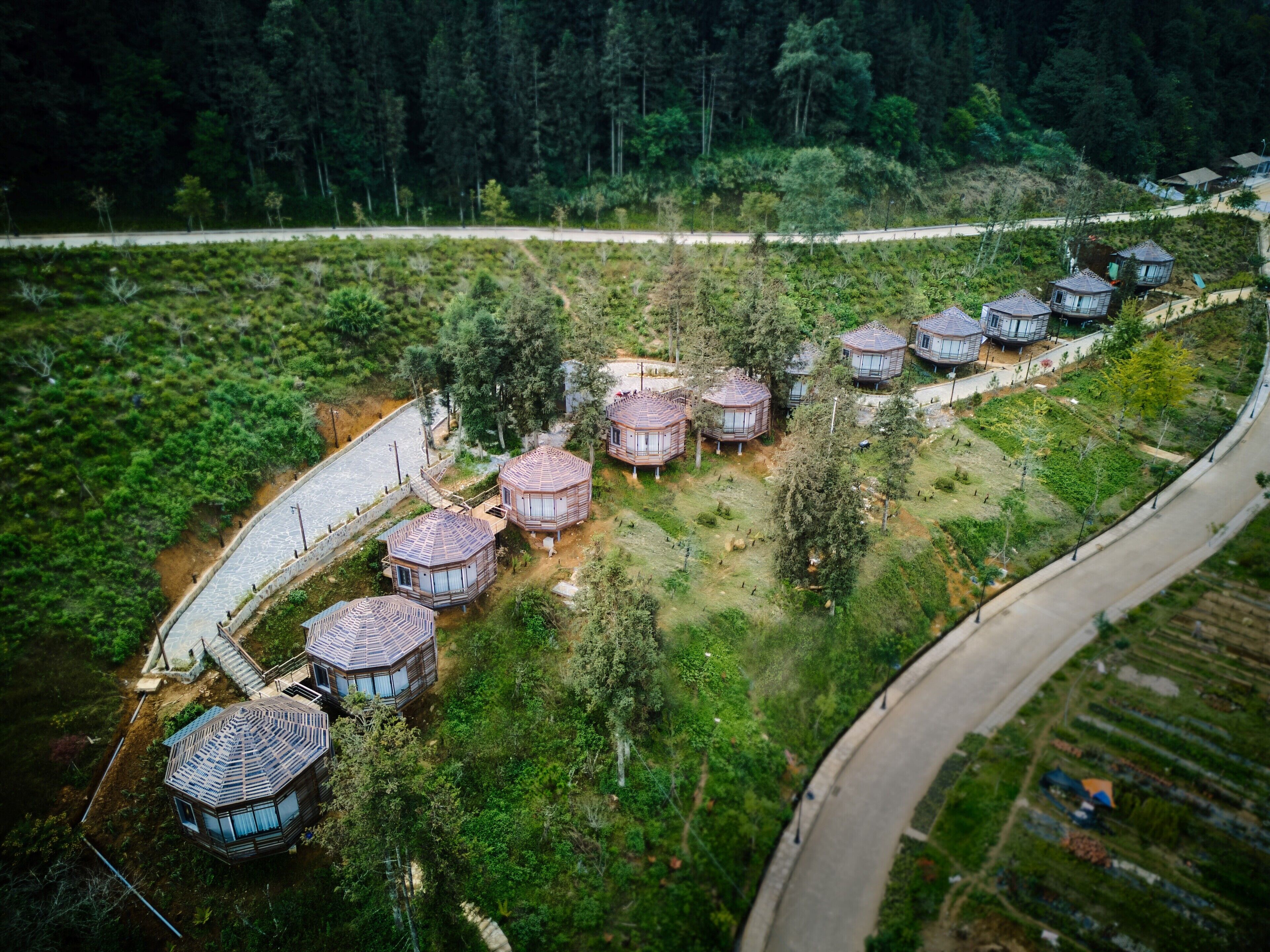 A series of dome-shaped cabins arranged in a row along a curved road, surrounded by dense greenery and a forested backdrop.