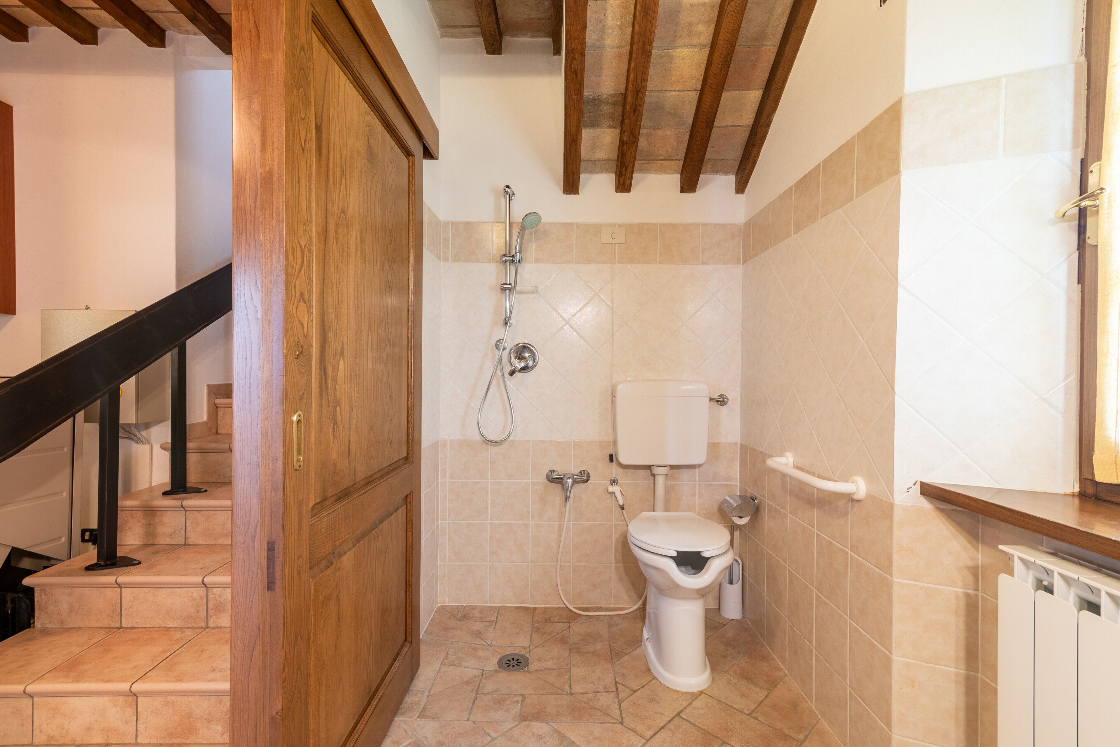 A bathroom with a shower, toilet, and a wooden door.