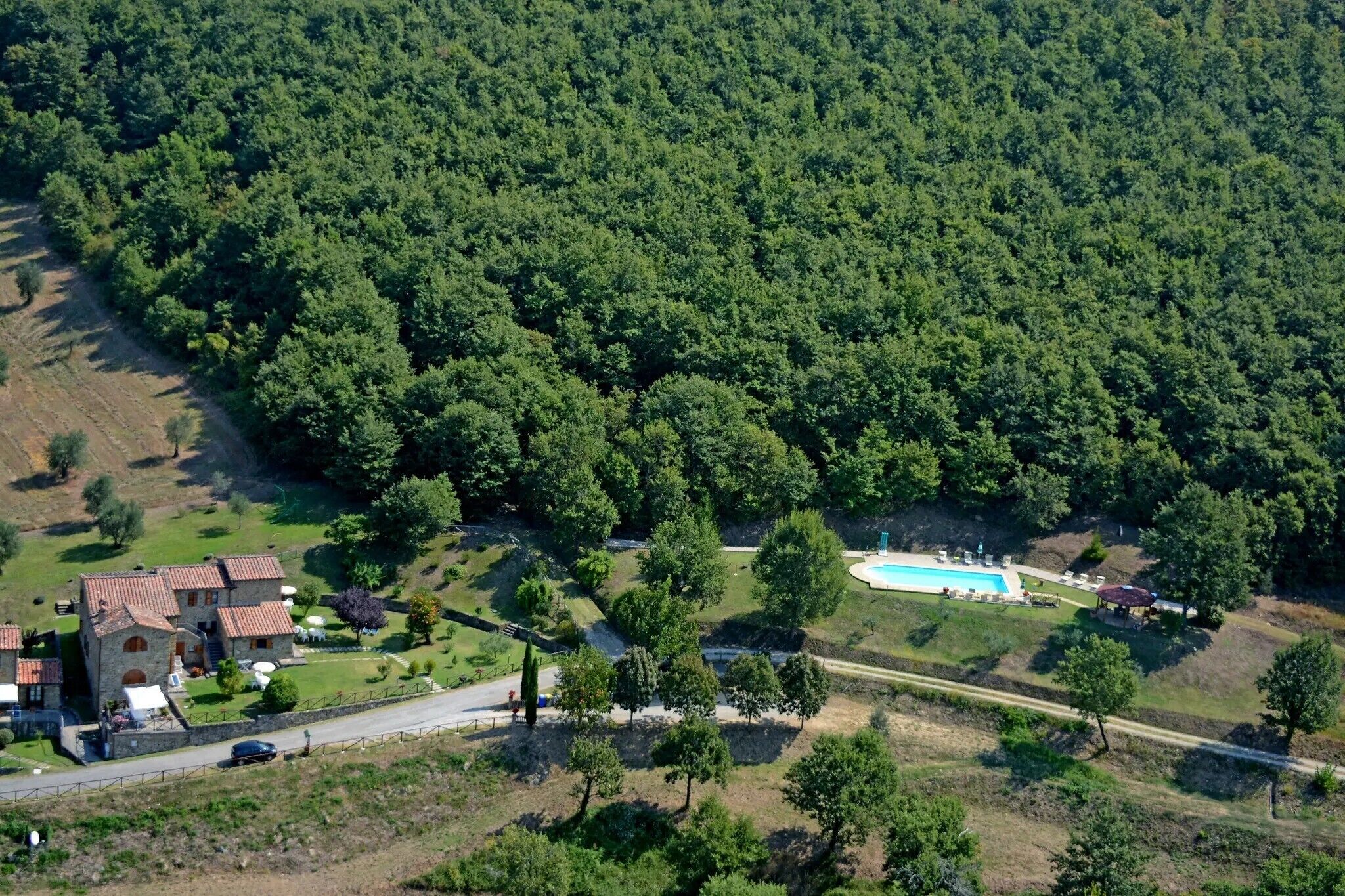 A large house with a swimming pool surrounded by dense forest.