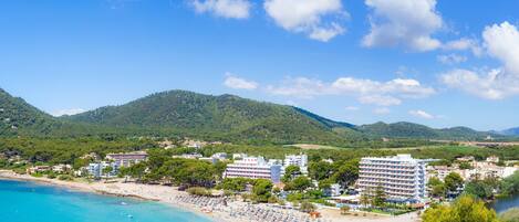 بالقرب من الشاطئ