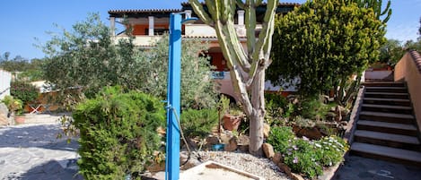 Un patio con un cactus, un árbol y un edificio de techo con tejas.