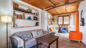 TV, fireplace, video games, DVD player