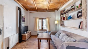 TV, fireplace, video games, DVD player