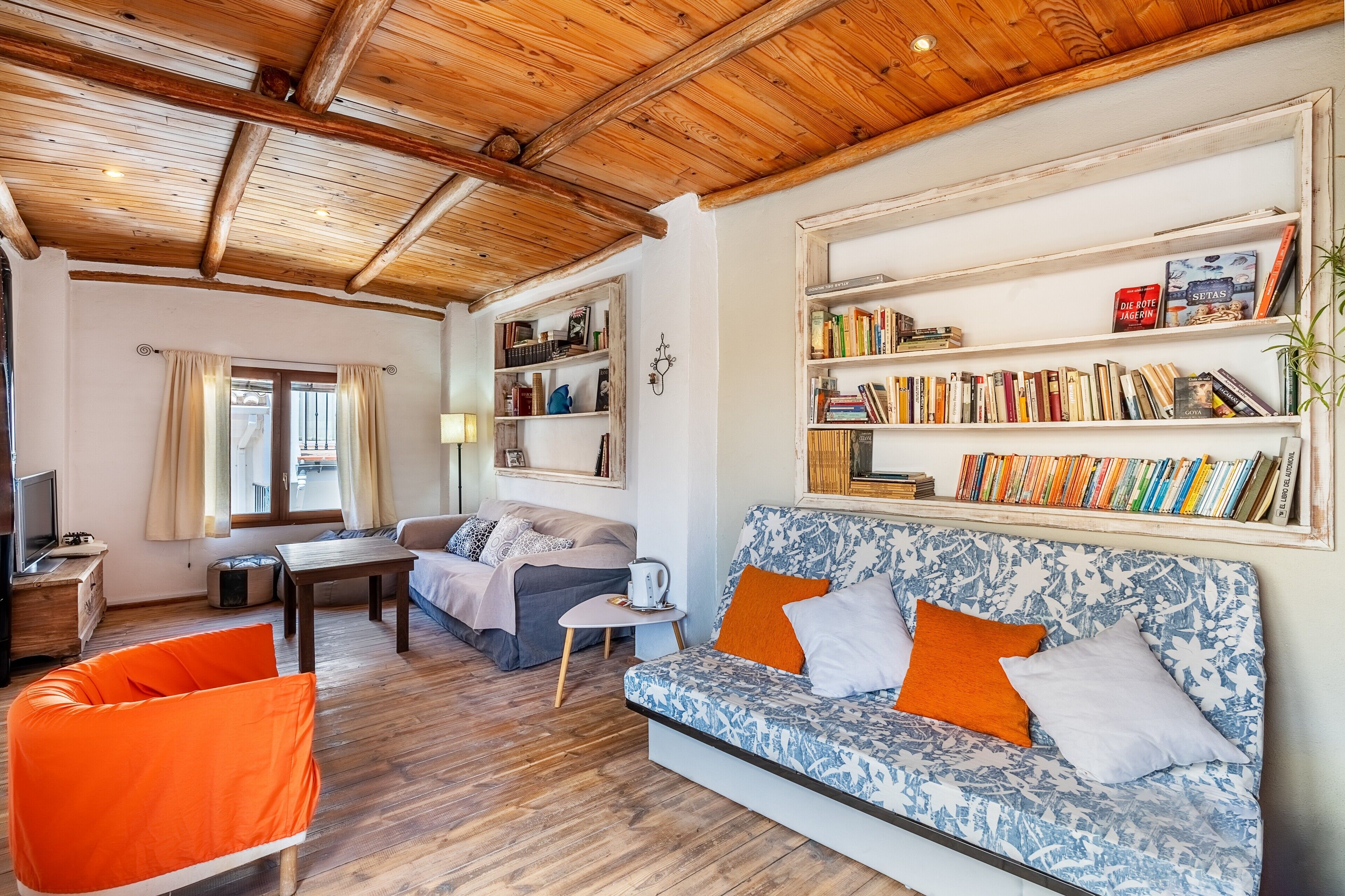 Télévision, cheminée, jeux vidéo, lecteur de DVD