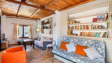 Télévision, cheminée, jeux vidéo, lecteur de DVD