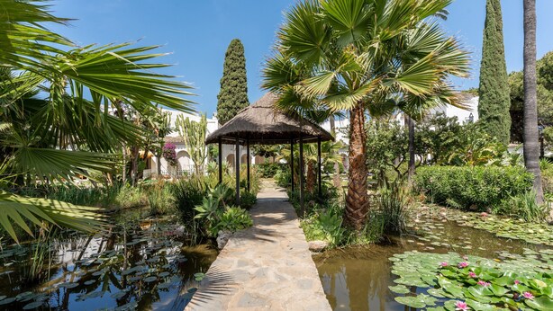 Un sentier de pierres mène à un belvédère entouré de plantes tropicales et à un bassin orné de nénuphars.