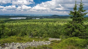 Metsäinen maisema, jossa on järvi, valkoinen rakennus ja kirkas taivas.