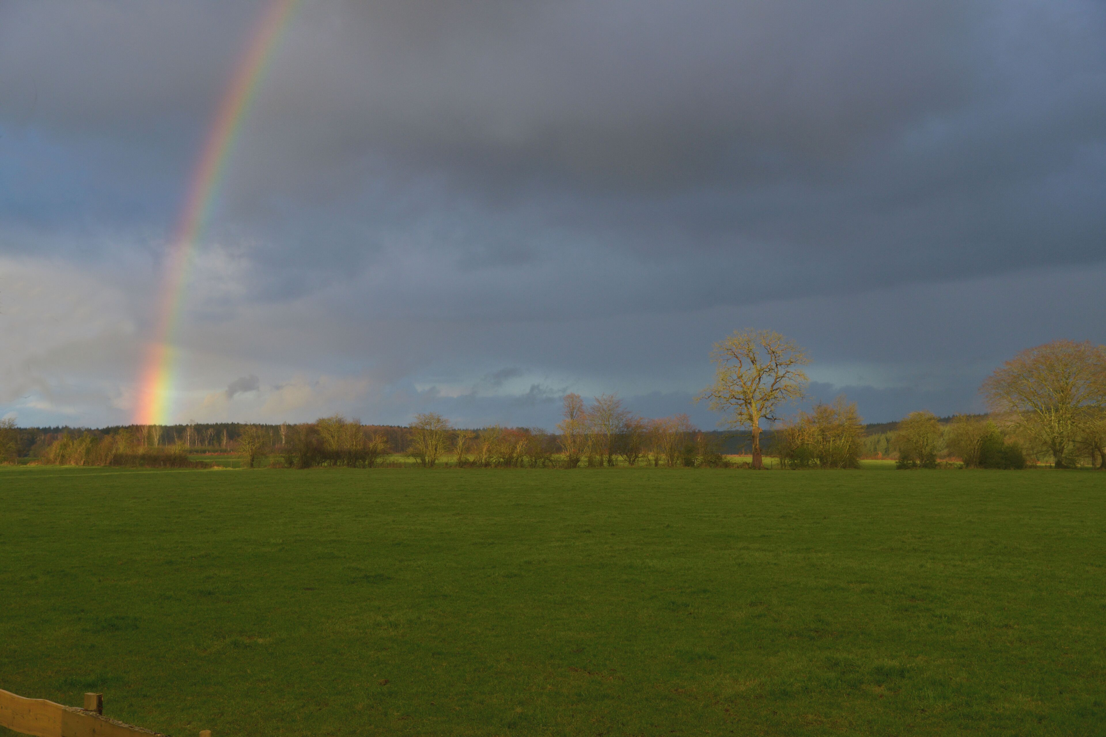 A grassy field with a rainbow and a cloudy sky.