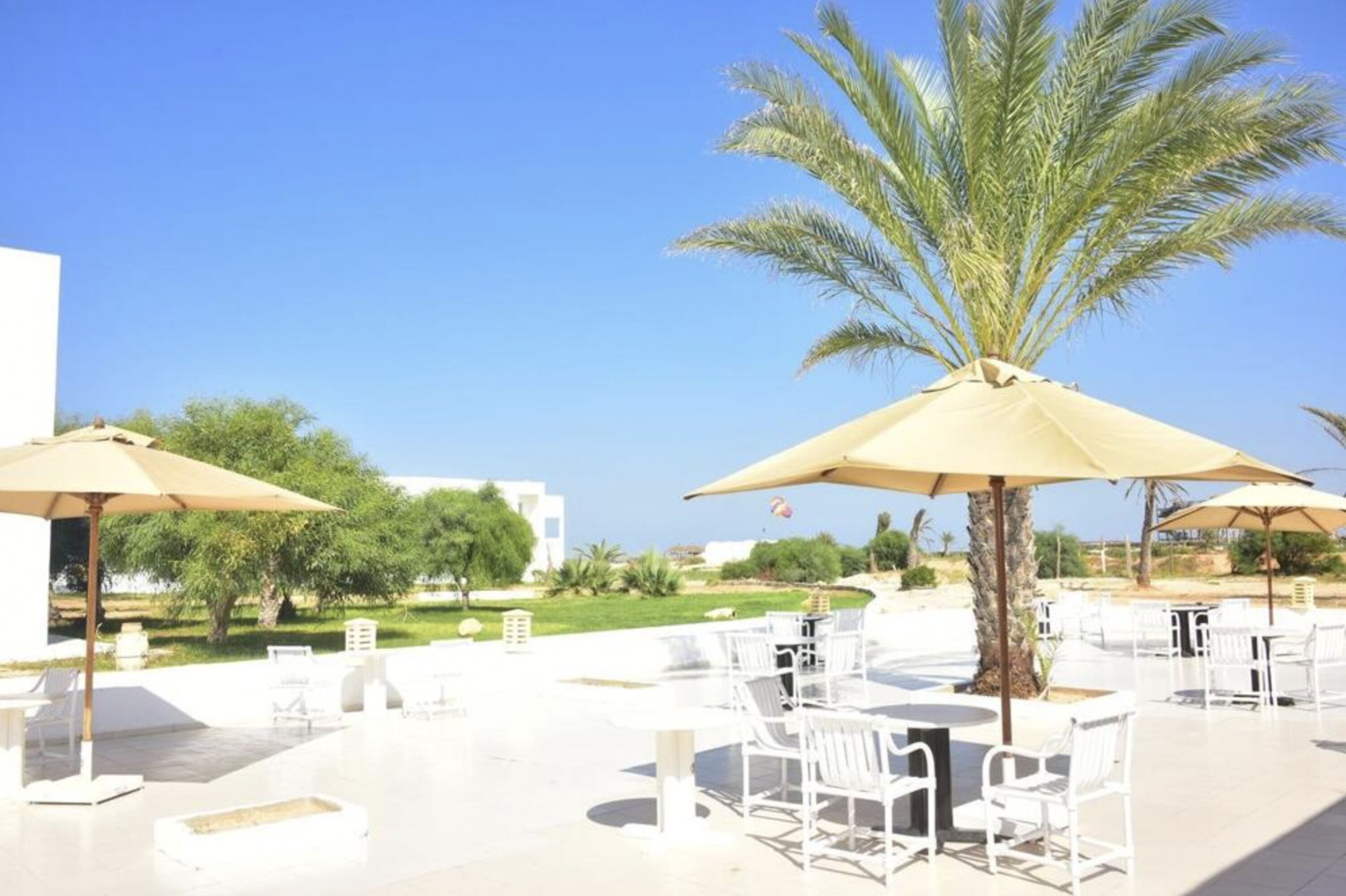 An outdoor patio area with white tables and chairs, beige umbrellas, and a palm tree.