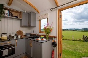 Fridge, microwave, oven, stovetop - Acorn - Magnificent Shepherds Hut, hot tub & Dorset views (Bridport)