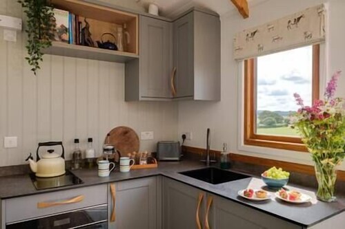 Acorn - Magnificent Shepherds Hut, hot tub & Dorset views