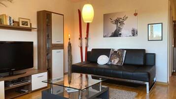 Fernseher, DVD-Player