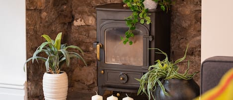 A stone wall, a black wood-burning stove with a plant on top, and two potted plants on a mantelpiece.