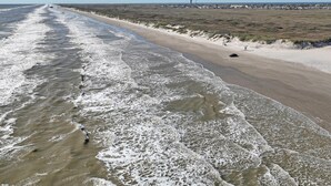 Una playa con olas rompiendo en la orilla, cielo despejado y una vista distante de un pueblo.
