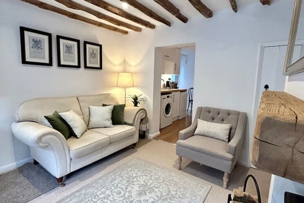 Una Smart TV, una chimenea, un reproductor de DVD, libros