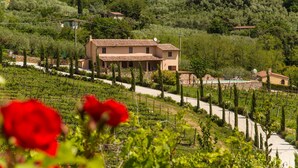 A villa with a tiled roof, surrounded by vineyards and greenery.