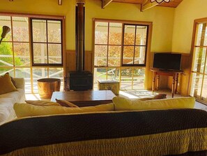 Télévision, cheminée