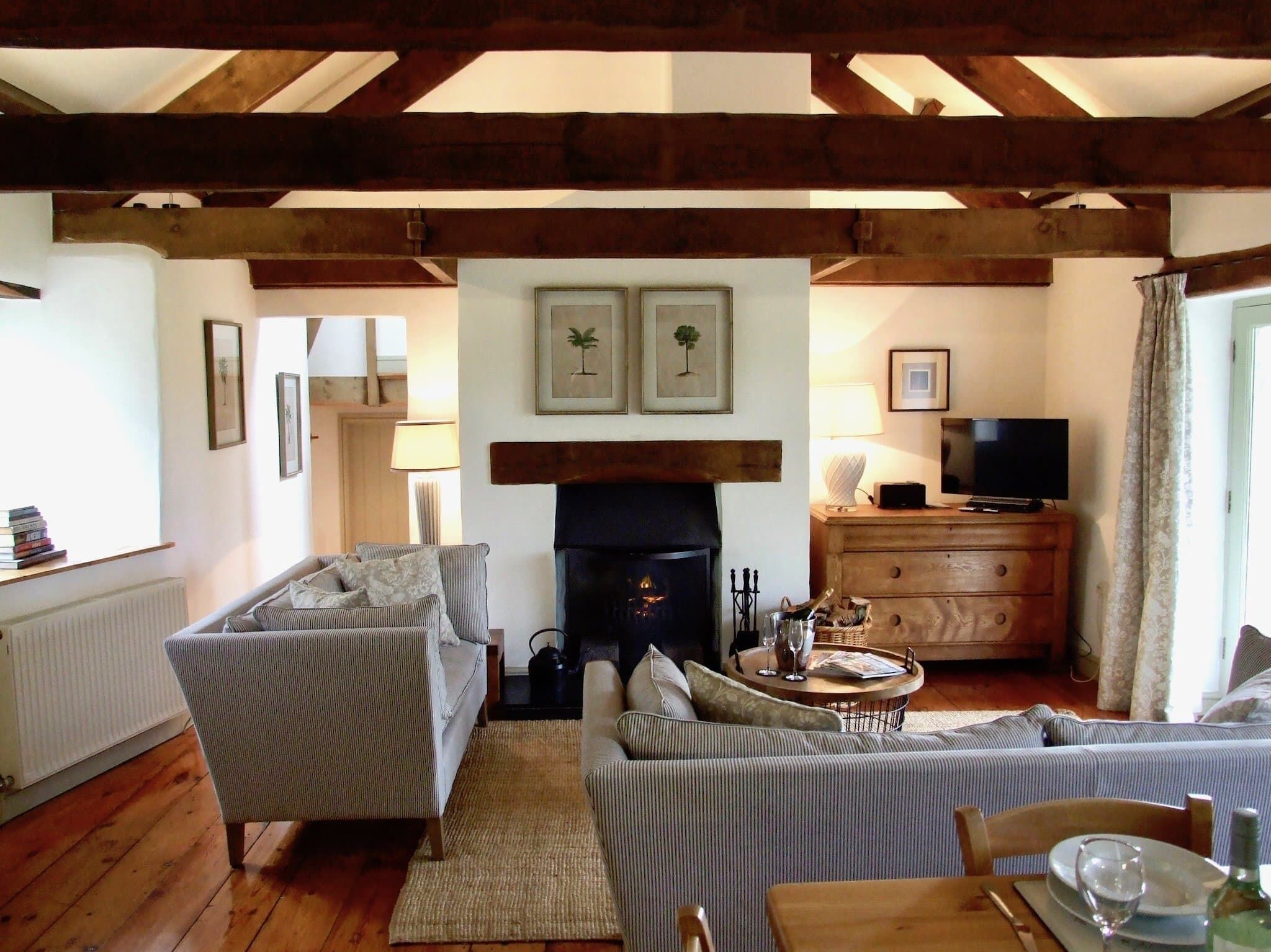 Smart TV, fireplace, DVD player, books