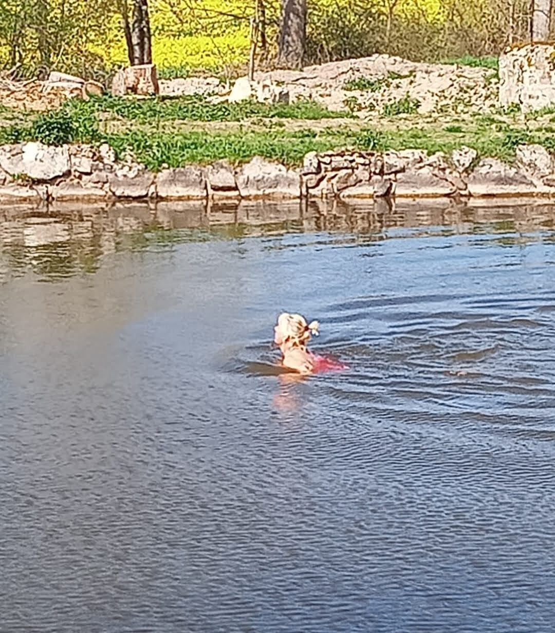 Une personne nage dans une étendue d’eau, avec un mur de pierres et de la végétation en arrière-plan.