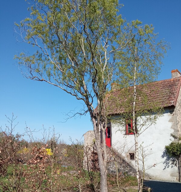 A rustic building with a white exterior and red window frames, surrounded by trees and a clear blue sky.