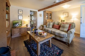 TV, peis og DVD-spiller