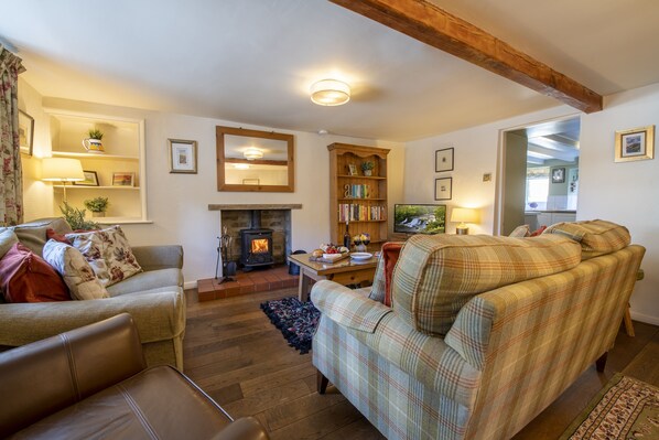 TV, fireplace, DVD player