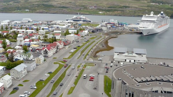 A coastal town with a large cruise ship docked, featuring a mix of residential and commercial buildings, a main road, and a roundabout.