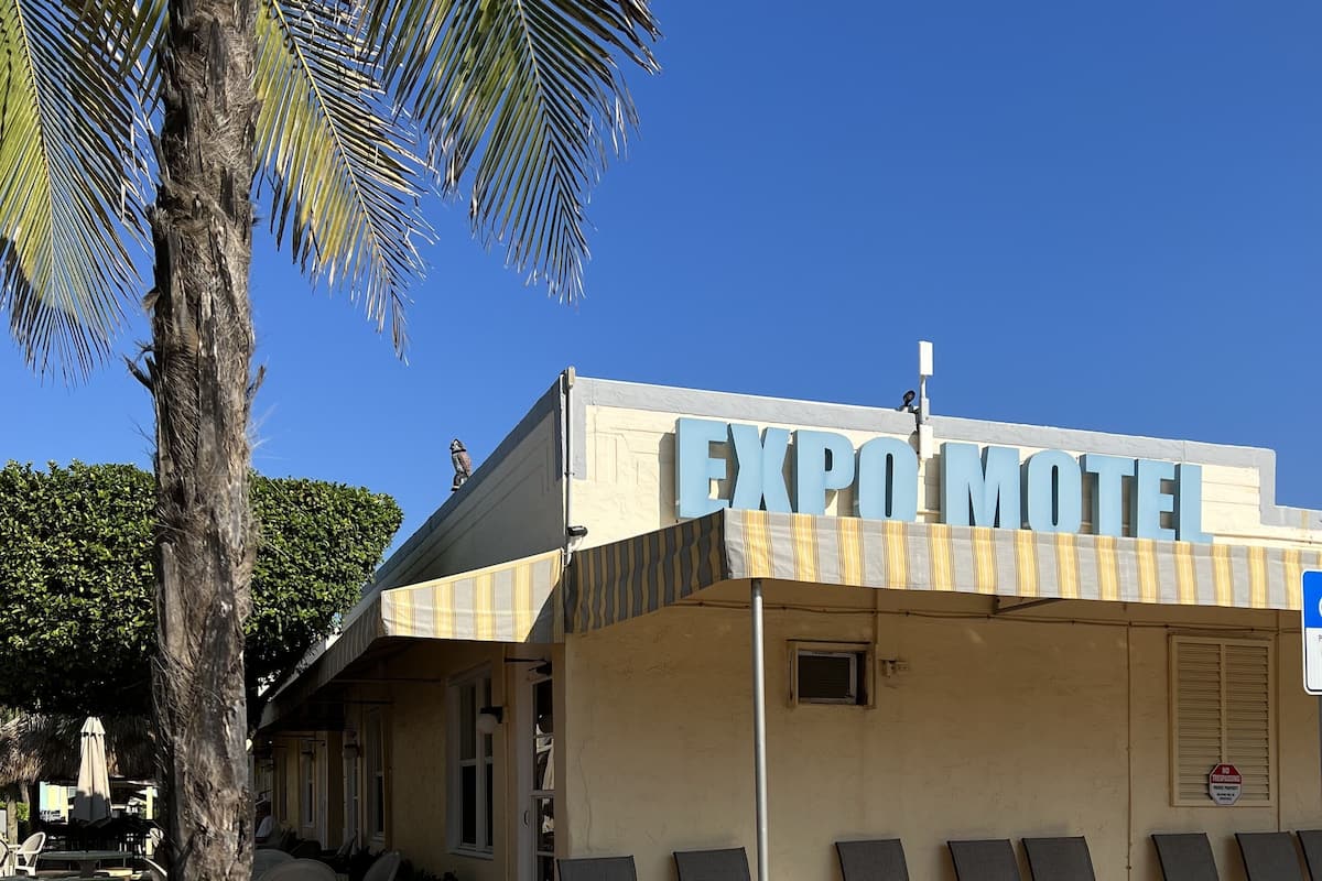 An exterior of the Expo Motel with a row of sun loungers and a palm tree in the foreground.