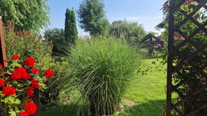 Jardí amb varietat de plantes, incloent herbes altes i flors vermelles, i una estructura de pergola de fusta.