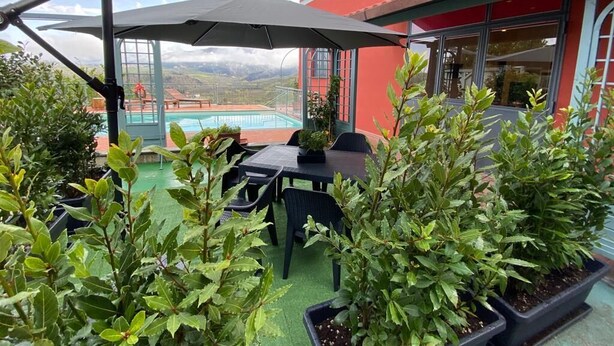 An outdoor patio with a table and chairs, surrounded by potted plants, and overlooking a pool. - NiGiNo house sleeps 6, private pool and garden (Donnini)