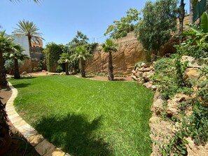 Un espacio cubierto de césped bien cuidado, con palmeras y un muro de piedra.