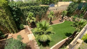 Ein angelegter Garten mit Rasenfläche, Palmen und einer Steinmauer.