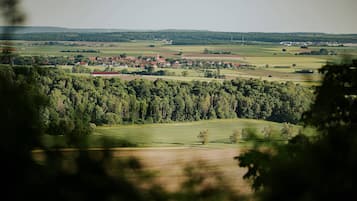 A rural landscape with a village, fields, and a forested area.