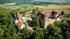 A historic castle with a moat, surrounded by lush greenery and fields.