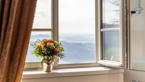A window with a view of a snowy landscape.