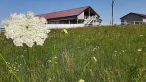 Un bâtiment avec un toit rouge et une clôture blanche, situé dans un champ verdoyant.