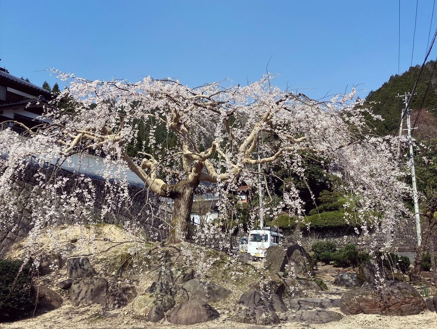 シティ ビュー