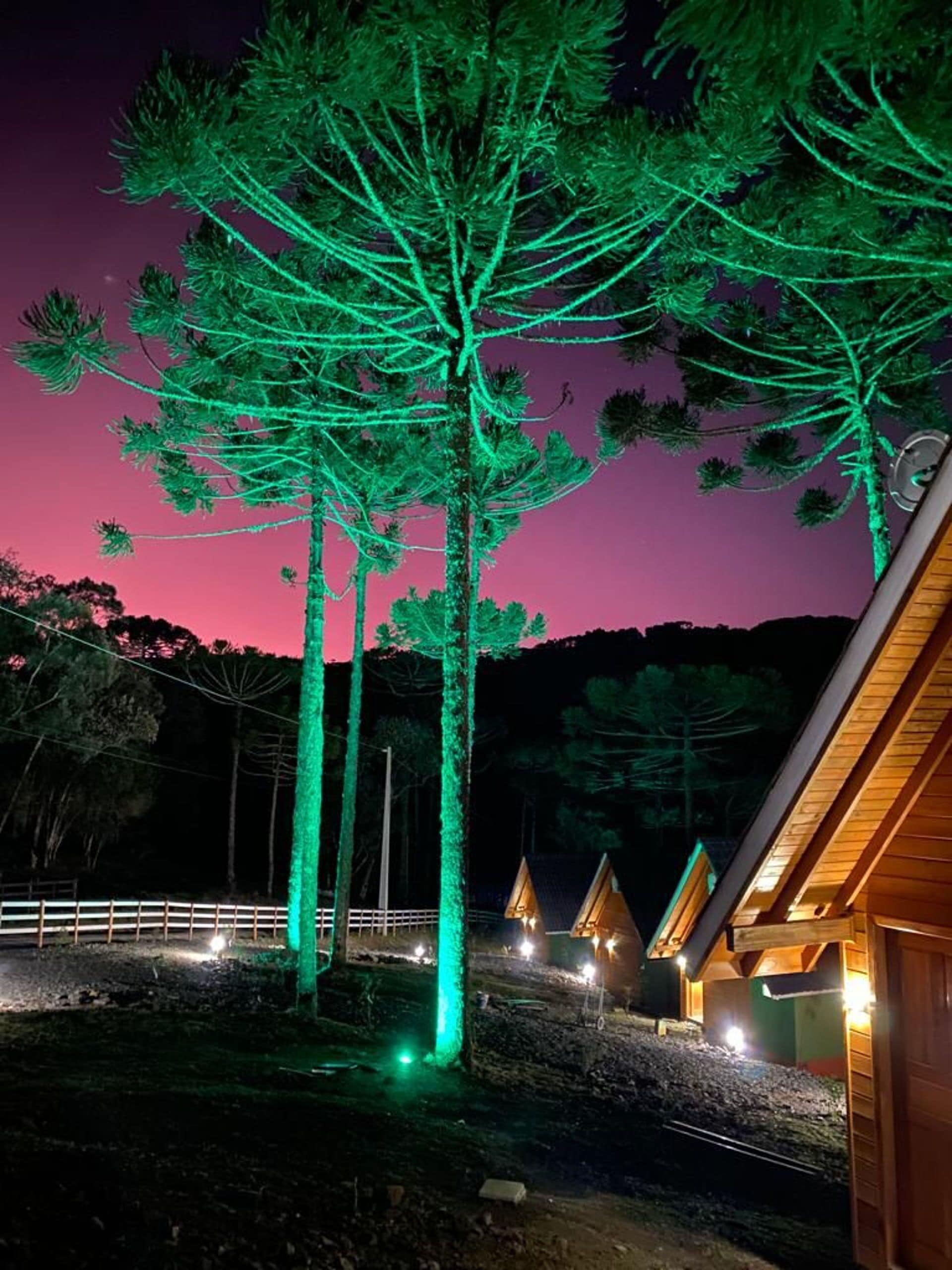 A nighttime view of a lodge with a prominent tree illuminated in green, surrounded by wooden cabins.