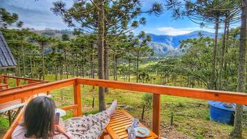 Chalé standard | Área de estar | Smart TV 32 polegadas com canais digitais, TV, lareira