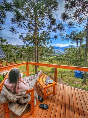 Standard Chalet | Living area | 32-inch Smart TV with digital channels, TV, fireplace - Pousada Vale da Neve (Urubici)