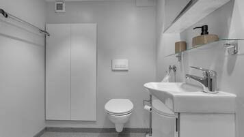 Secador de pelo y toallas