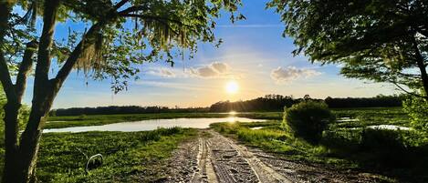 Jardines del alojamiento