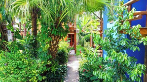 Un sendero exuberante en un jardín que lleva a una puerta de madera, rodeado de frondosas plantas tropicales y un edificio azul.