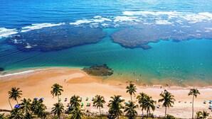 Una playa con aguas turquesas cristalinas, orilla de arena y palmeras.