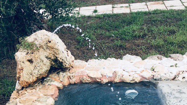 Una piscina pequeña y rectangular con borde de piedra, rodeada de césped y un sendero pavimentado.