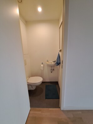 Une petite salle de bain étroite, avec des toilettes, un lavabo et un tapis bleu sur le sol.