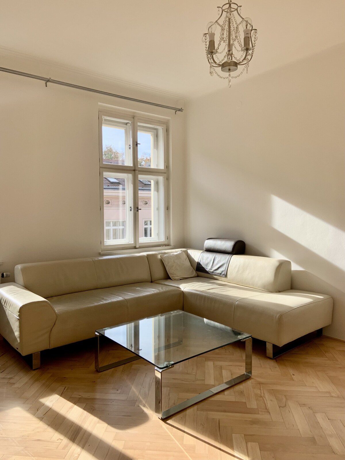 Imagen de perfil del propietario o de la propietaria