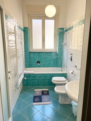 Dusche, Haartrockner, Bidet, Handtücher